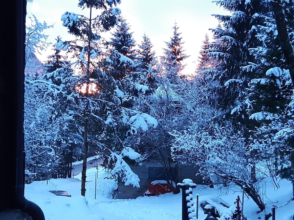 Ferienhaus Blommers v zimě