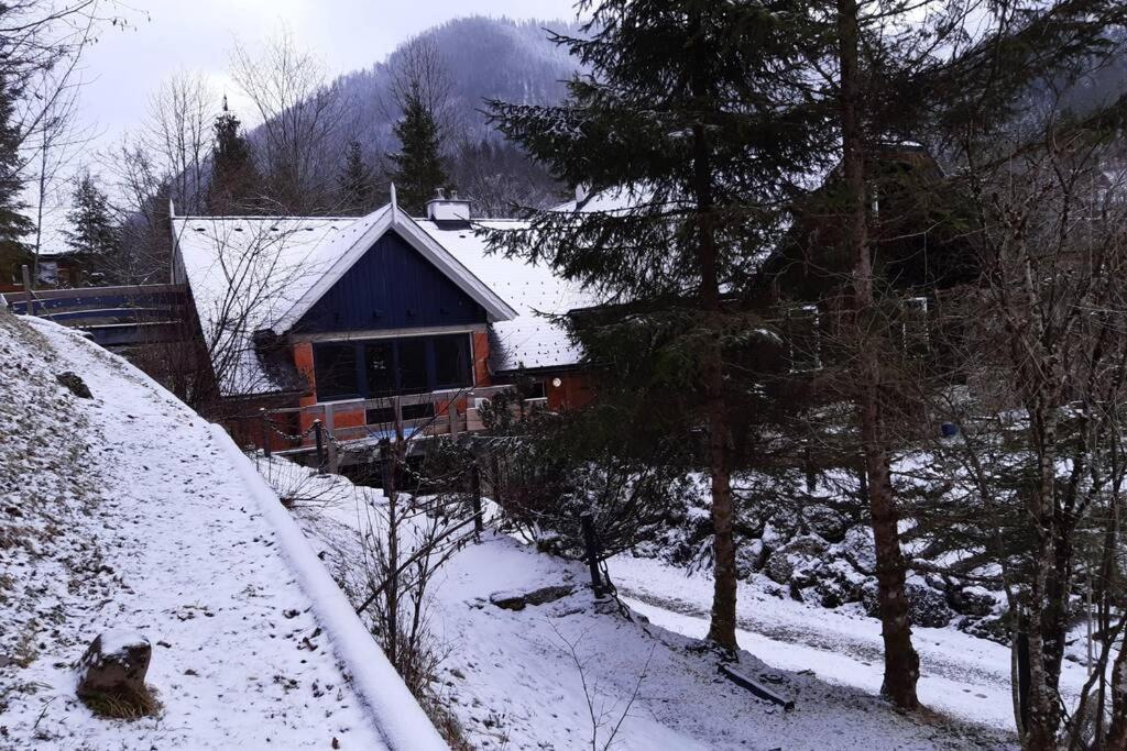 Ferienhaus Blommers v zimě