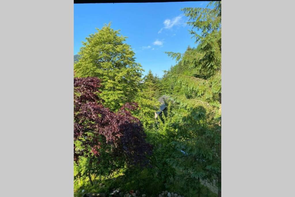 Zahrada ubytování Ferienhaus Blommers