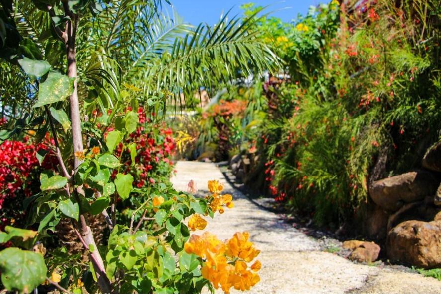 Giardino di amour Deshaies