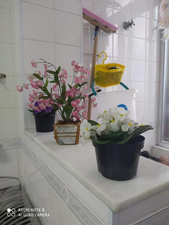  Praia grande canto do forte top