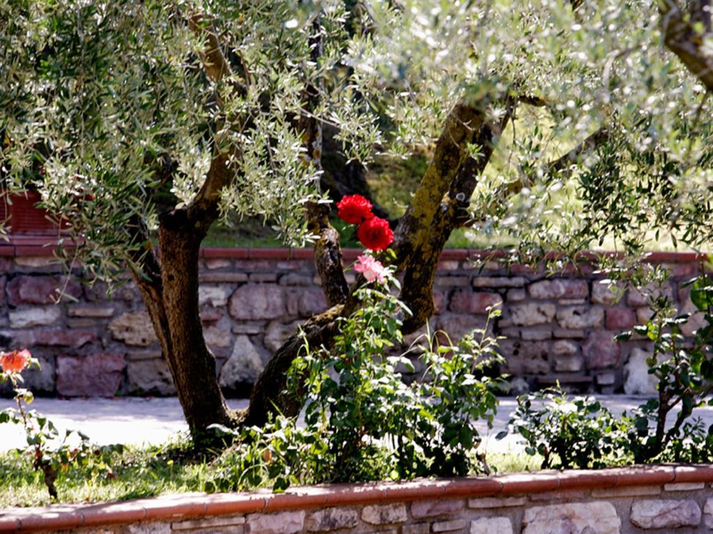 Hotel La Terrazza RESTAURANT & SPA - 12