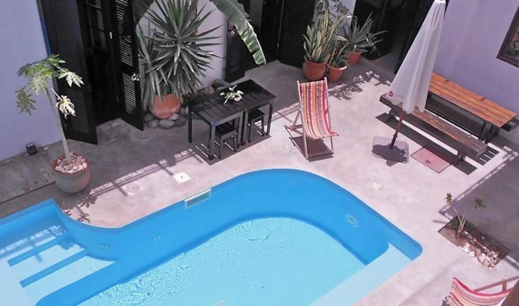 a blue swimming pool in a yard with plants at Casa Colonial in Mindelo