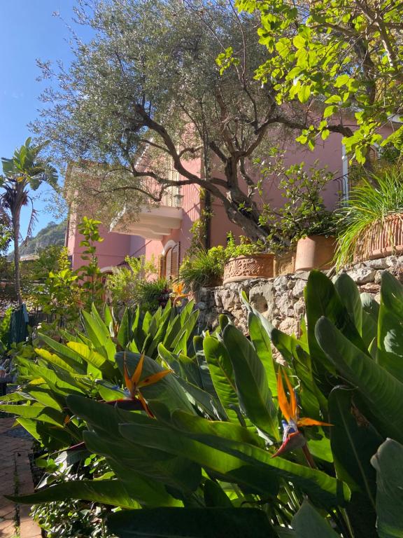 un jardín frente a un edificio rosa en Villa Britannia, en Taormina