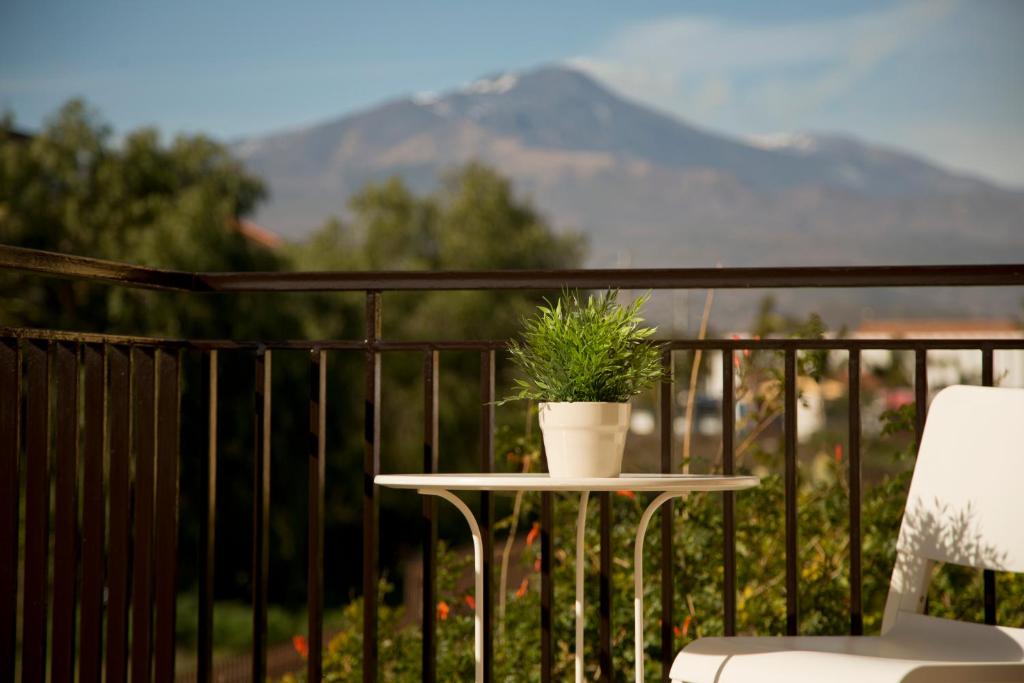 B&B Etna Europa في سان غريغوريو دي كاتانيا: طاولة مع نباتات الفخار على الشرفة