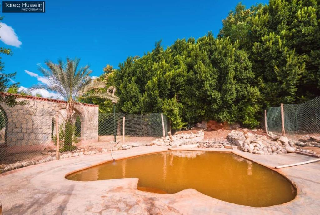 Bazén v ubytování Aliyah Eco-Lodge nebo v jeho okolí