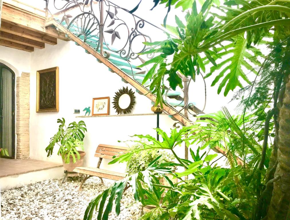 貝赫爾－德拉弗龍特拉的住宿－CASA DEL TEATRO Luxury Casas Vejer Debra，一个带长凳的门廊和一些植物