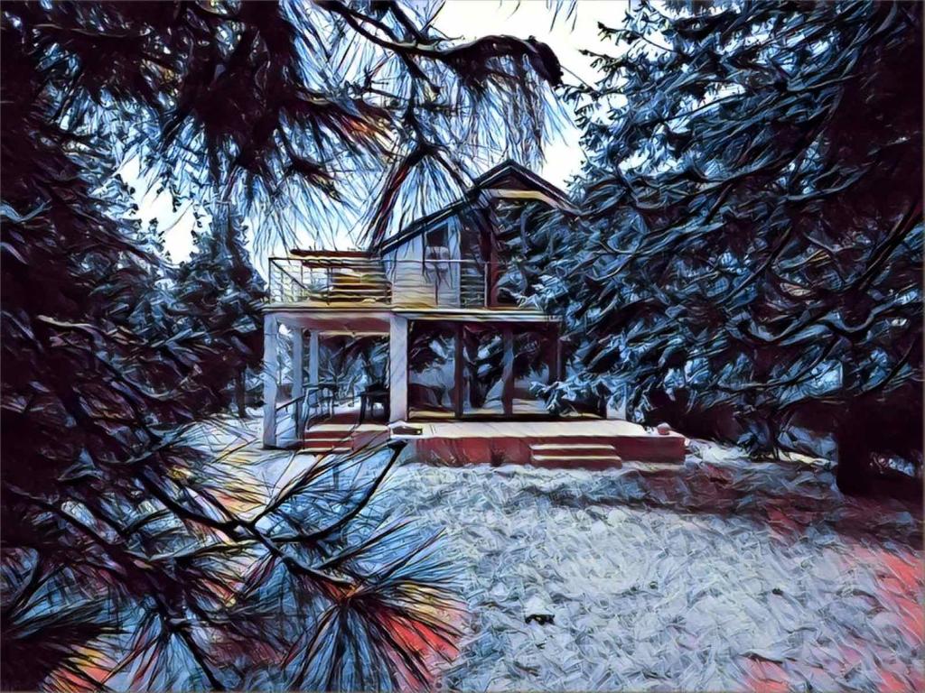 Zahrada ubytování Belegis Villa