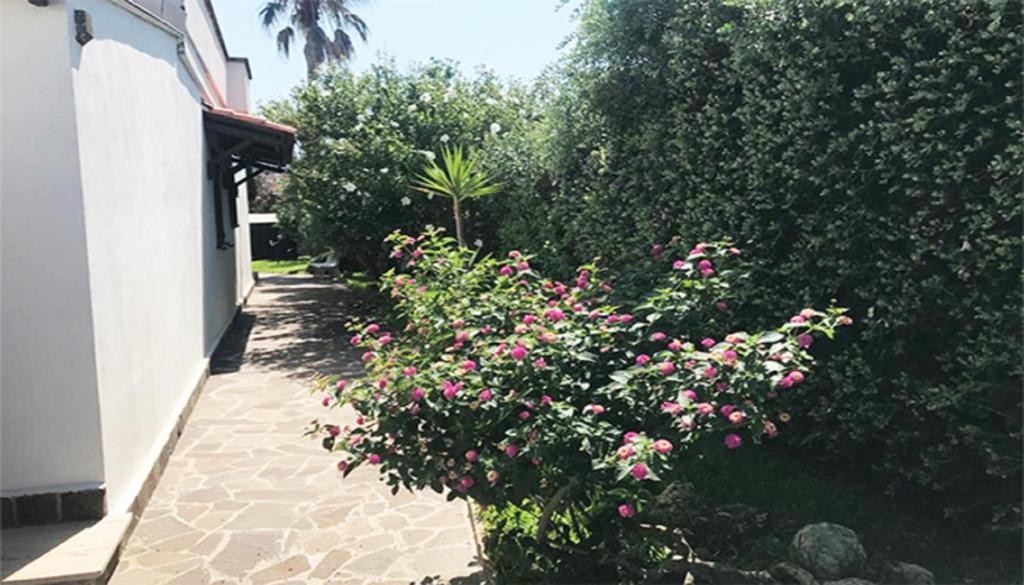 A garden outside Large and bright 6-bed villa with parking in San Foca
