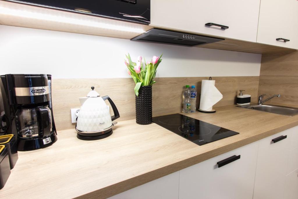 Kuchyňa alebo kuchynka v ubytovaní Bel Mare Apartament 128 z ogródkiem
