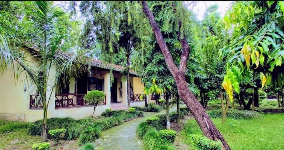 uma casa no meio de um jardim com árvores em Rhino Lodge Bardia Pvt Ltd em Bhurkīā