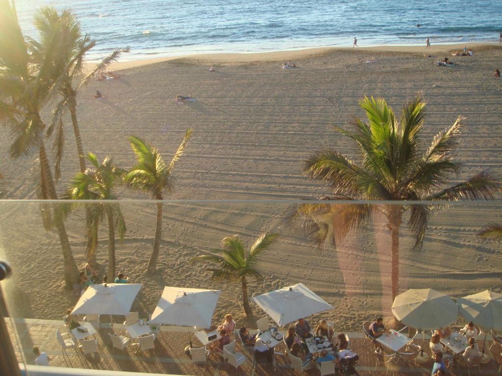 LAS CANTERAS PREMIUM