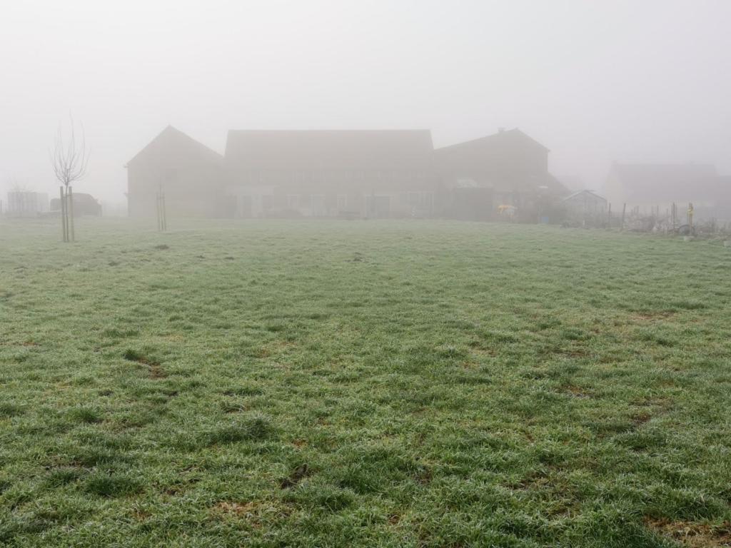 Elingen的住宿－Elingenhof，雾中的一个田野,有房子在后面