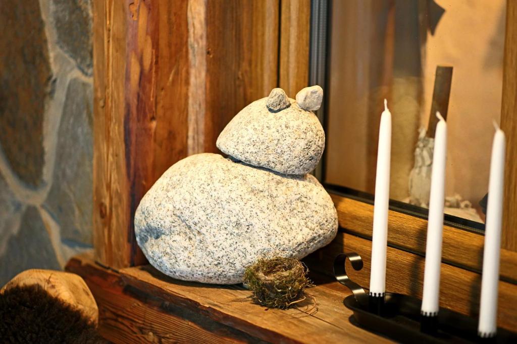 Fotografie z fotogalerie ubytování Chata Baba Yaga ve Ždiaru