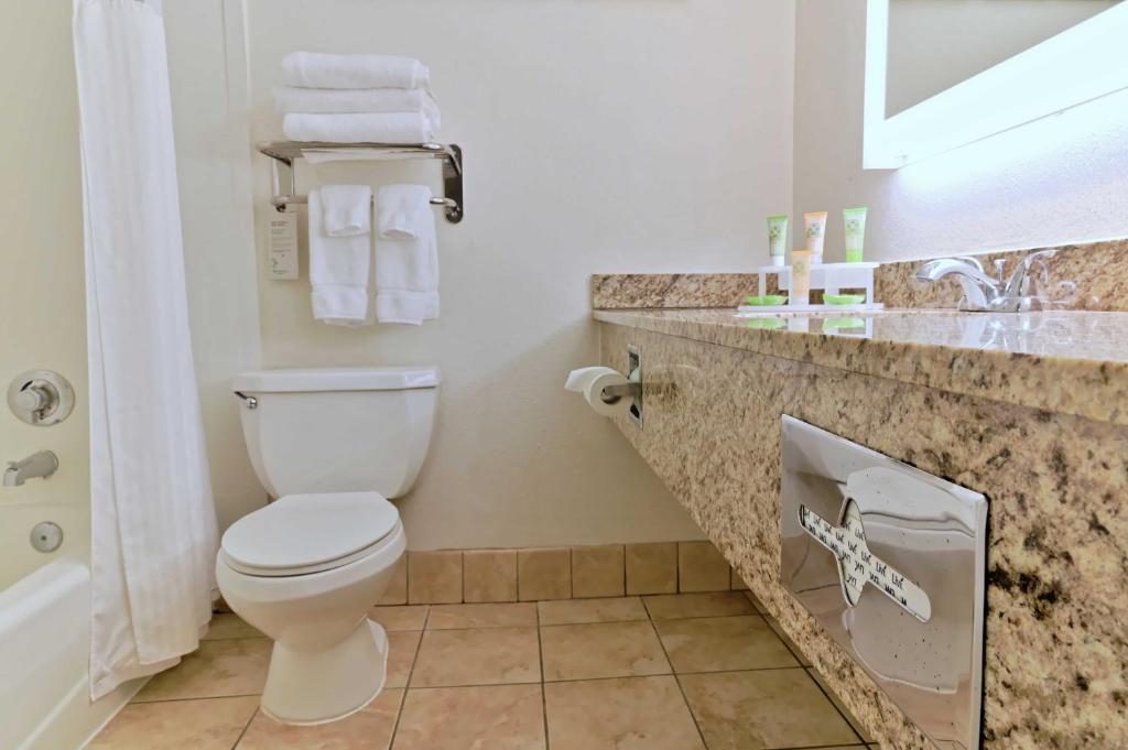 Wyndham Garden Summerville - Ducha Rey Ducha Enrollada