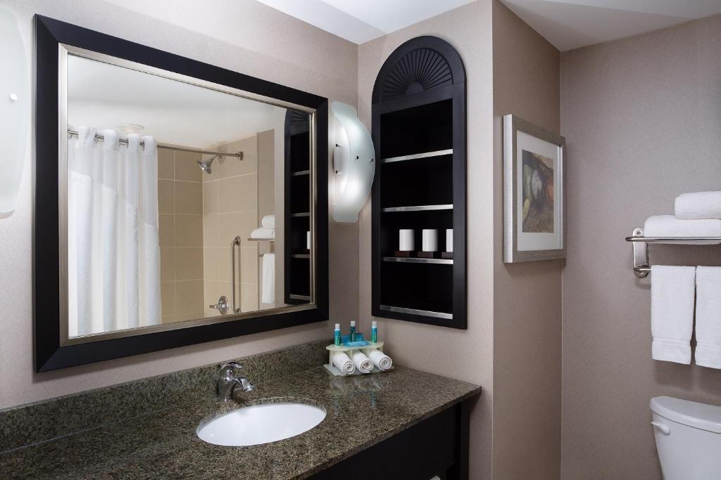 a bathroom with a sink and a mirror at Holiday Inn Express & Suites Ottawa West - Nepean by IHG in Ottawa
