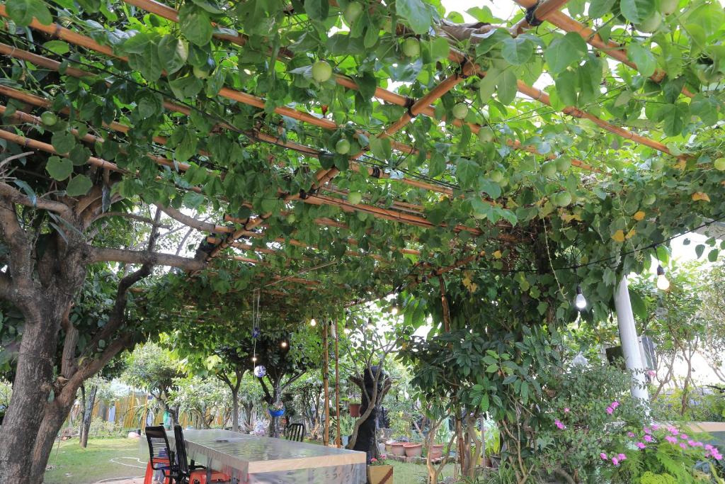 a table and chairs under a tree with fruit at Bridgeside Homestay in Pingtung City