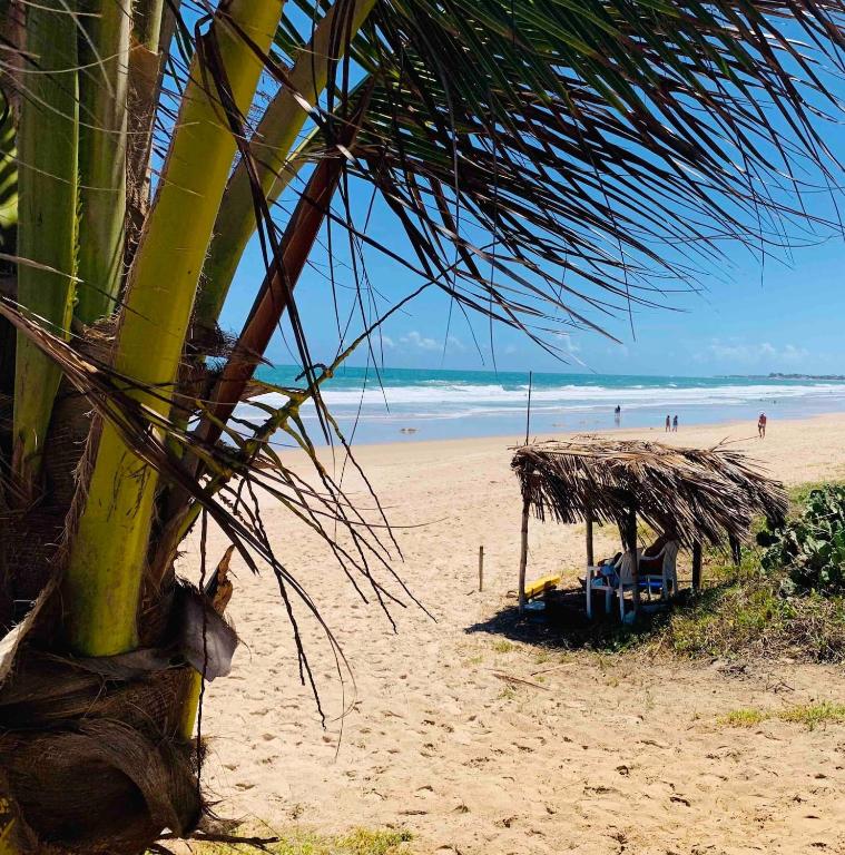  Flat luxo em PORTO DE GALINHAS