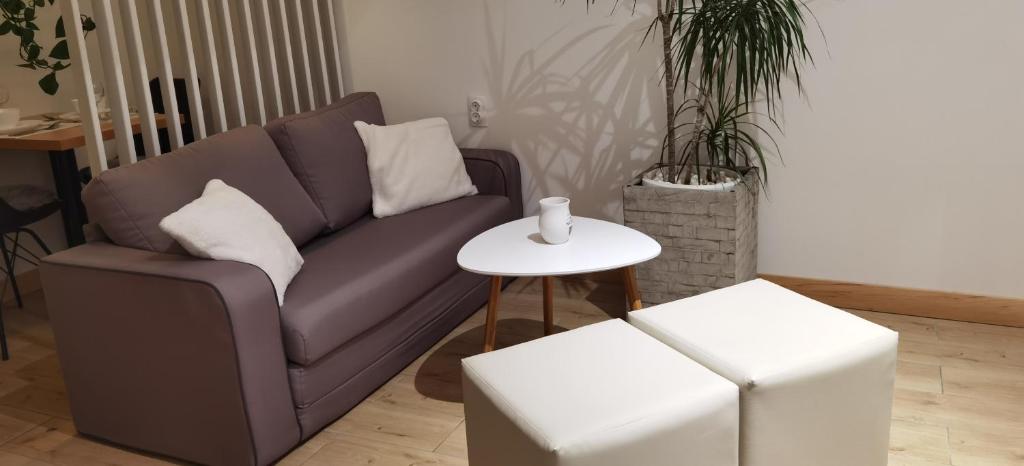 Zona Apartments Zrenjanin