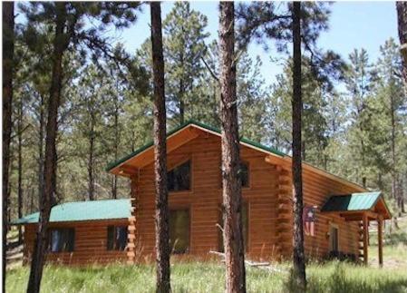 a log cabin in the middle of a forest at Desperado in Custer