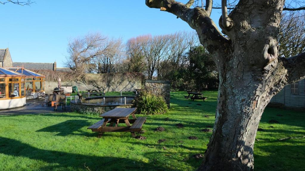 a park with a picnic table and a tree at The Old Rectory - Brean in Brean