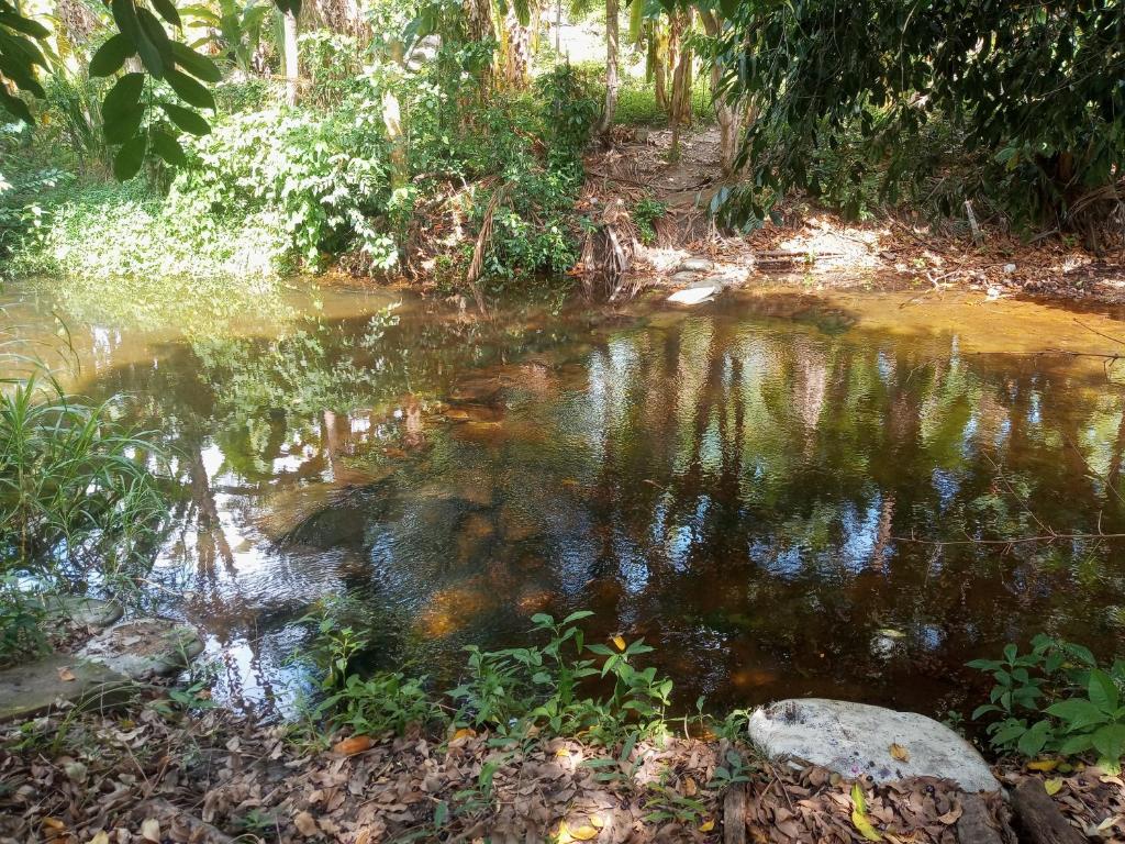 Pousada Beira Rio