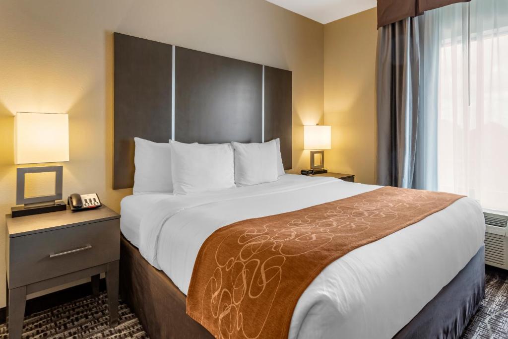 Comfort Suites Near Sam Houston Race Park - King Suite - No Fumadores