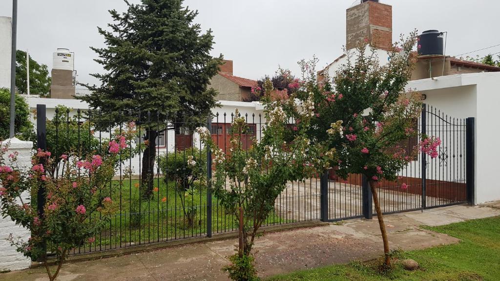 Κήπος έξω από το Casa Kassel