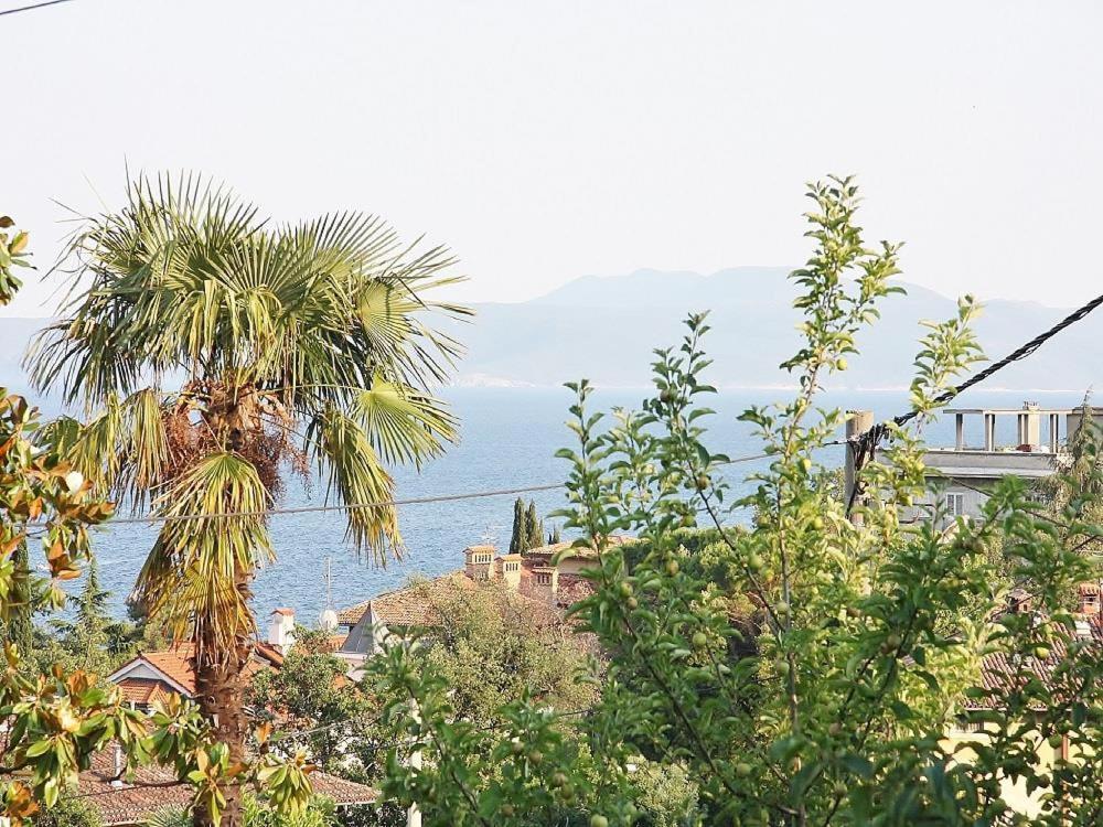 - une vue sur l'océan depuis une maison avec un palmier dans l'établissement Apartments Lovran, à Lovran