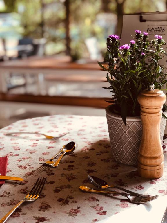 Fotografie z fotogalerie ubytování Gasthof Restaurant Waldcafé v Mayrhofenu