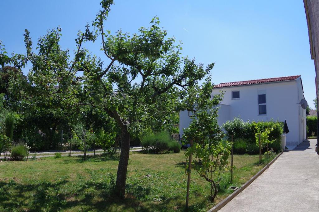 Zahrada ubytování Holiday Apartment Jasna