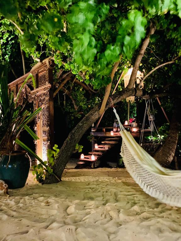 Zahrada ubytování Samura Maldives Guest House Thulusdhoo