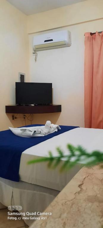 TV a/nebo společenská místnost v ubytování Pousada Iguana