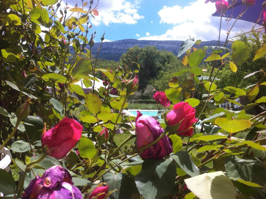 Nespecifikovaný výhled na hory nebo výhled na hory při pohledu z bed and breakfast