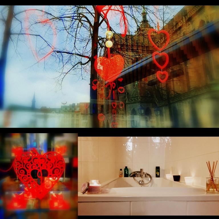 N¨°1 SCHONGAUER GITE DE CHARME CENTRE TOURISTIQUE COLMAR – photo 20