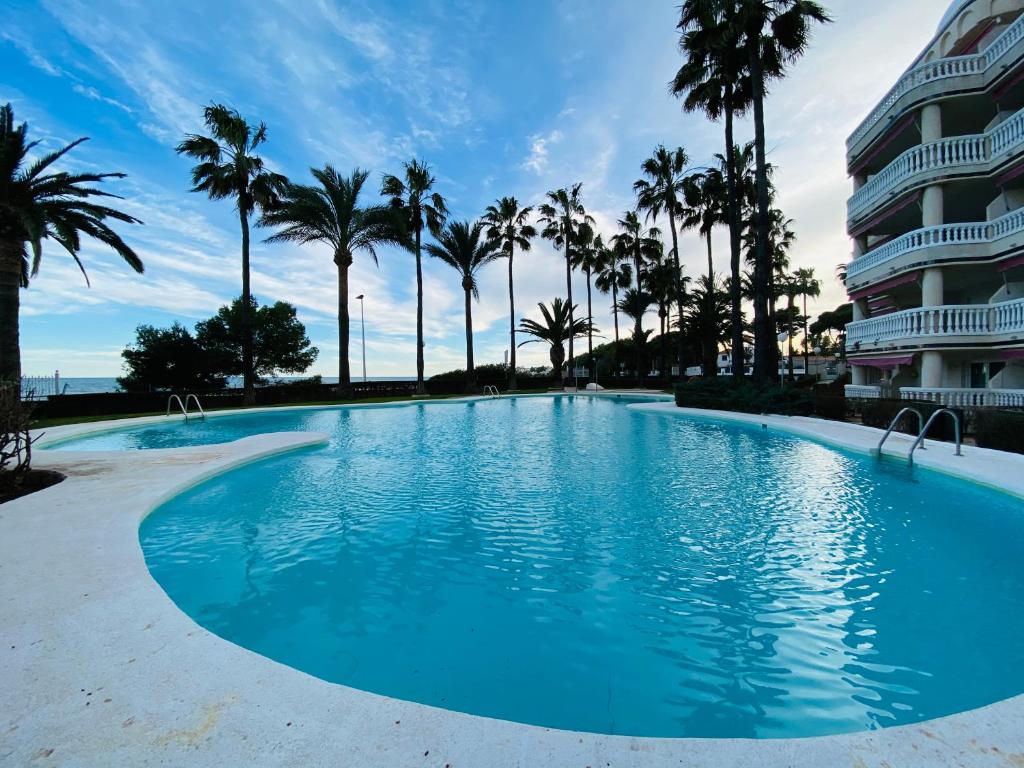 basen przed budynkiem z palmami w obiekcie Apartamentos Casablanca Altamar w mieście Alcossebre