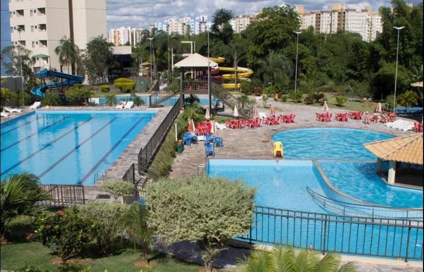  Golden Dolphin Exepress-Caldas