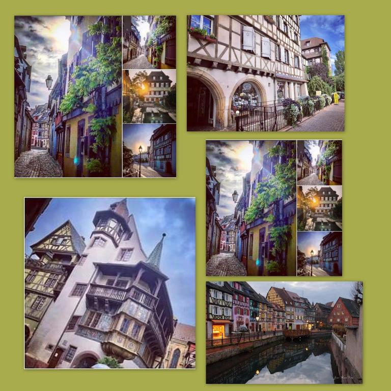 N¨°1 SCHONGAUER GITE DE CHARME CENTRE TOURISTIQUE COLMAR – photo 27