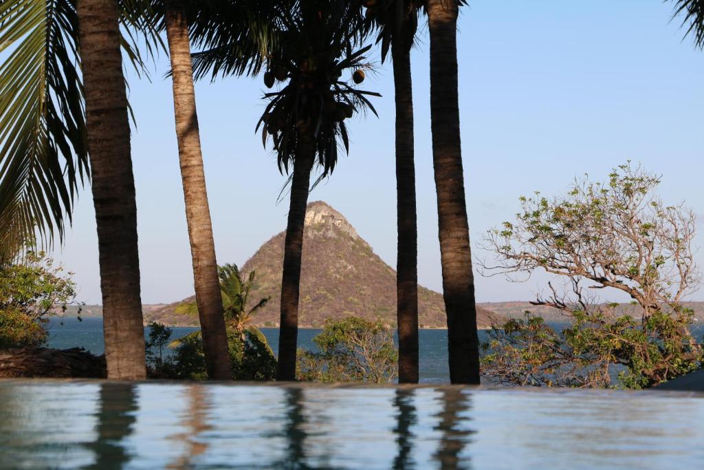 a pool with palm trees and a mountain in the background at Hotel De La Baie in Diego Suarez