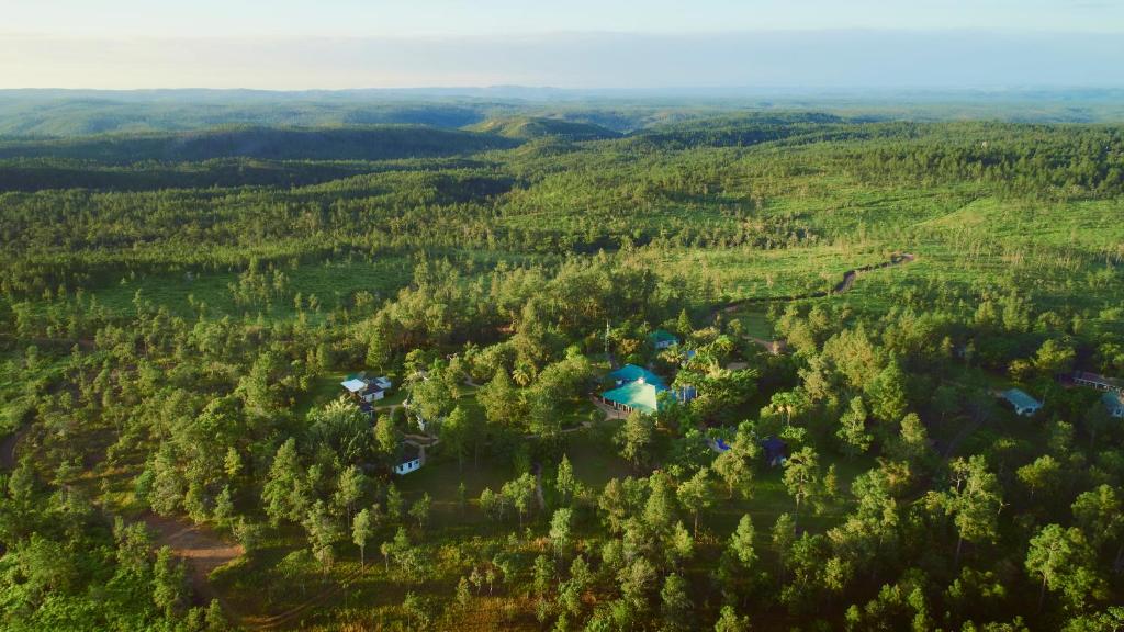 an aerial view of a house in a forest at Hidden Valley Wilderness Lodge in San Ignacio