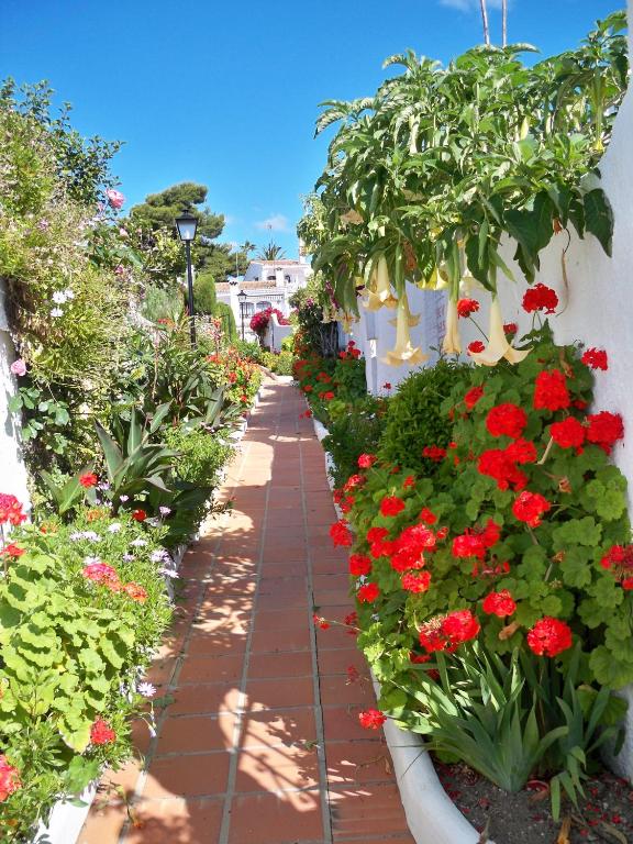 a garden path with red flowers and white fences at El Capistrano Sur in Nerja