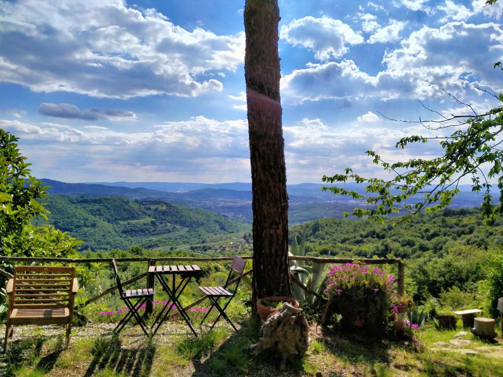 Príroda v okolí vily