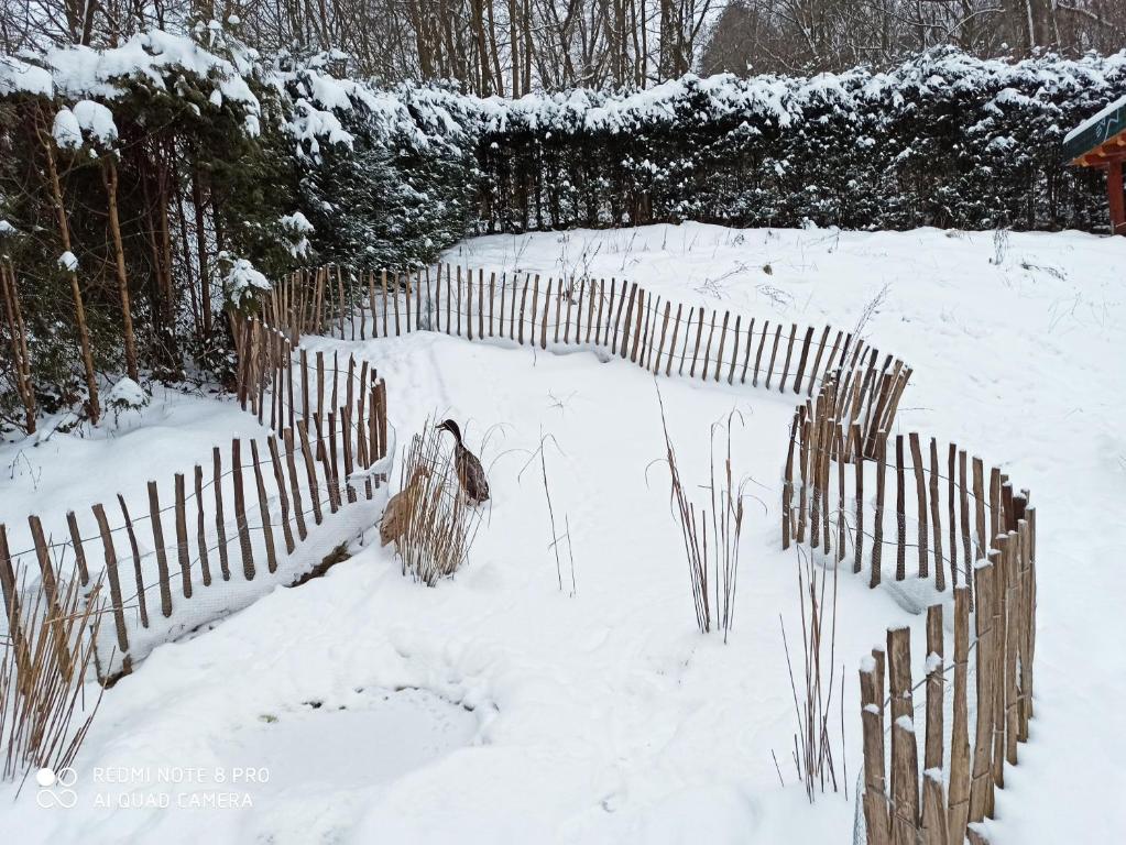 Pension Waldsauna v zimě