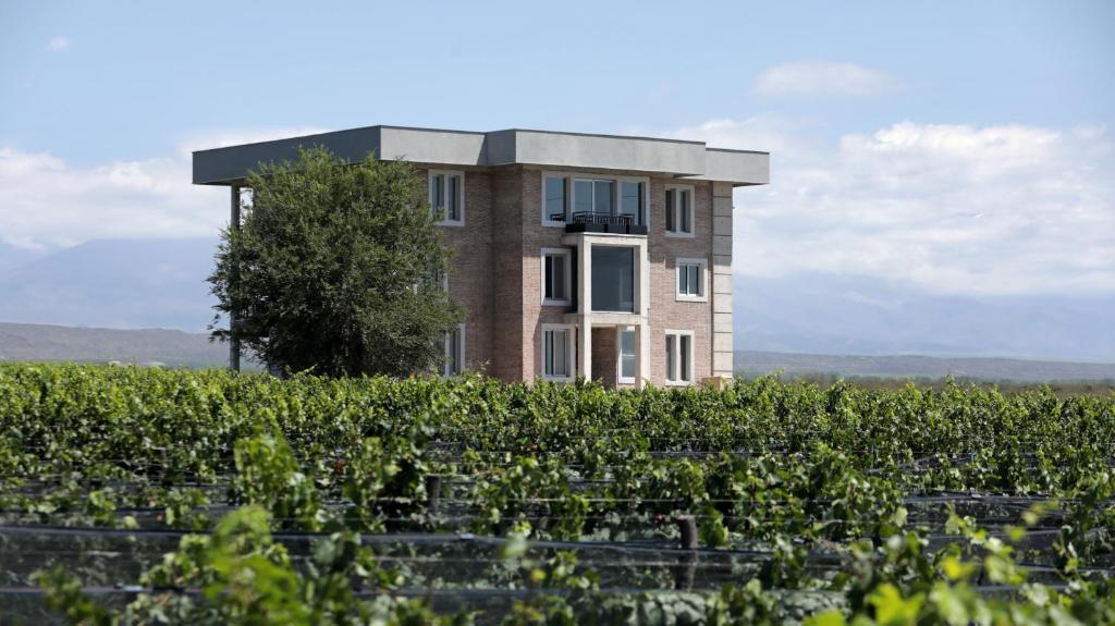 a building in the middle of a field of vines at Gaia Lodge in Tupungato