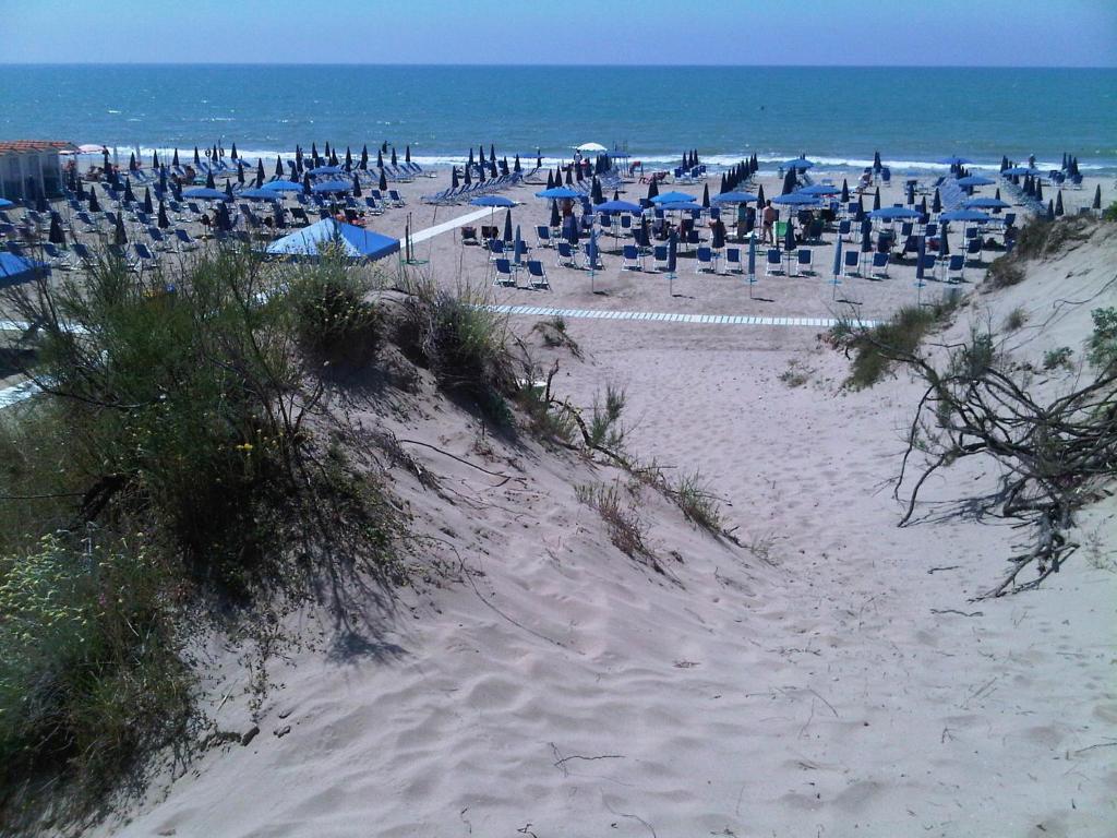 Příroda nedaleko hotelu