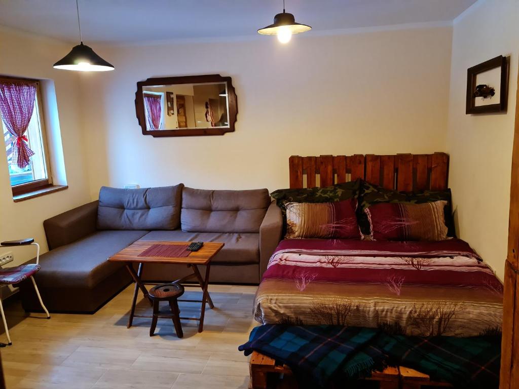 tornik studio zlatibor - Apartamento De Una Habitación