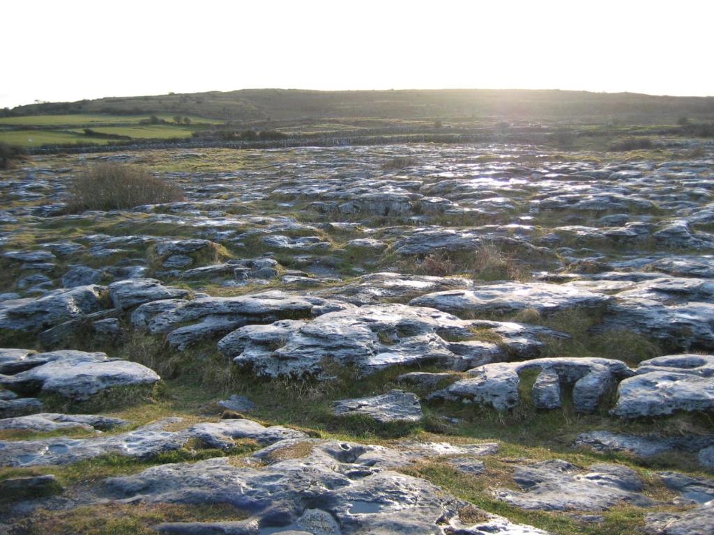 Corofin Lake Cottages photo