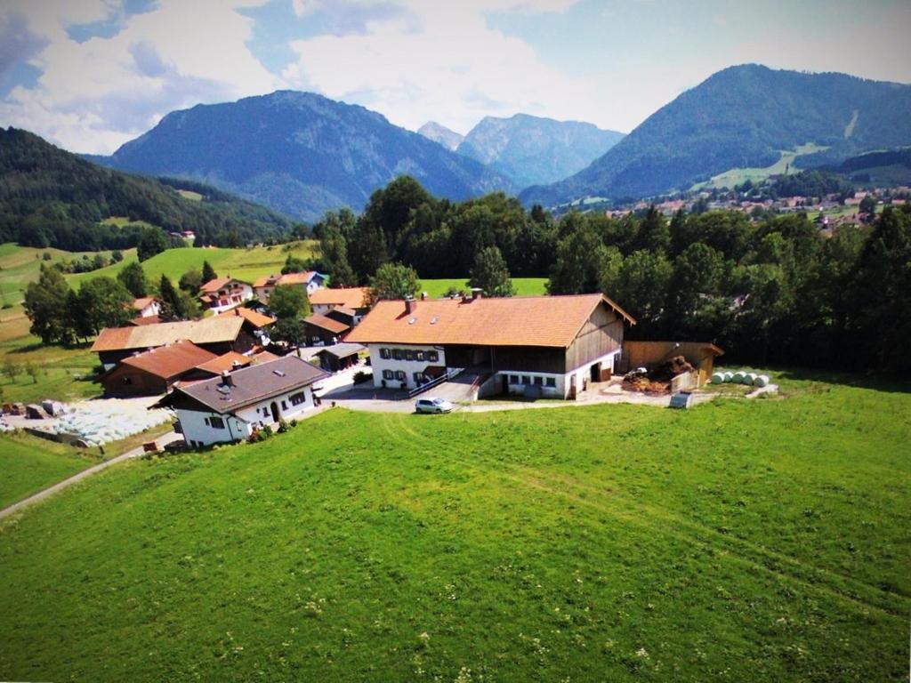 a house on a green field with mountains in the background at Matheishof in Ruhpolding