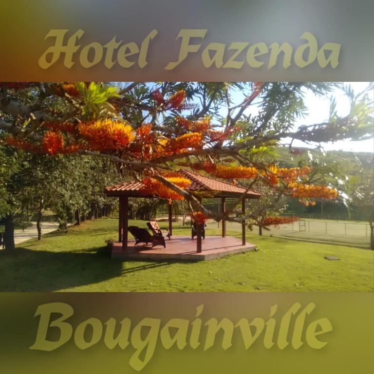  Bougainville Hotel Fazenda