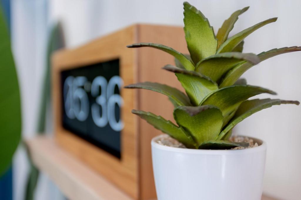 Hanmer Springs TOP 10 Holiday Park - Resim 30